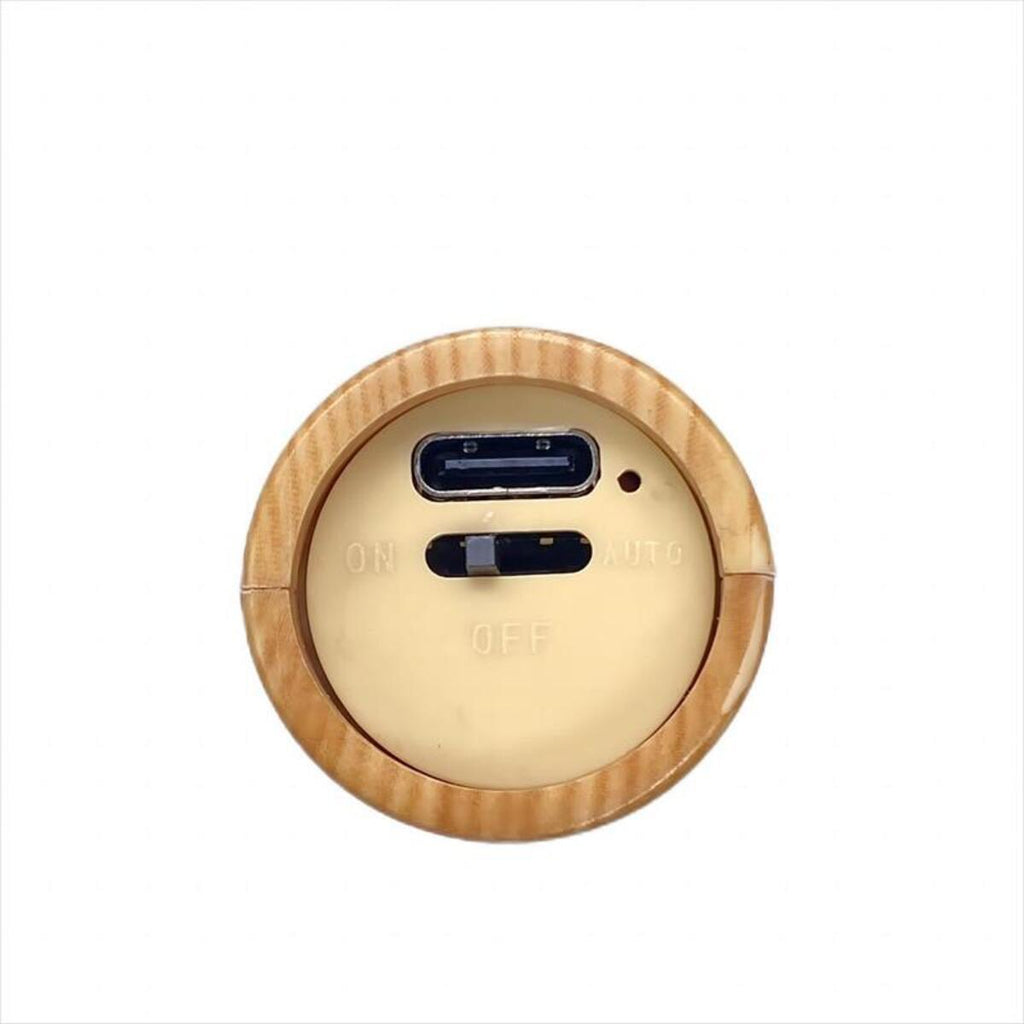 WillowGlow™ Rechargeable Motion Sensor Sconce