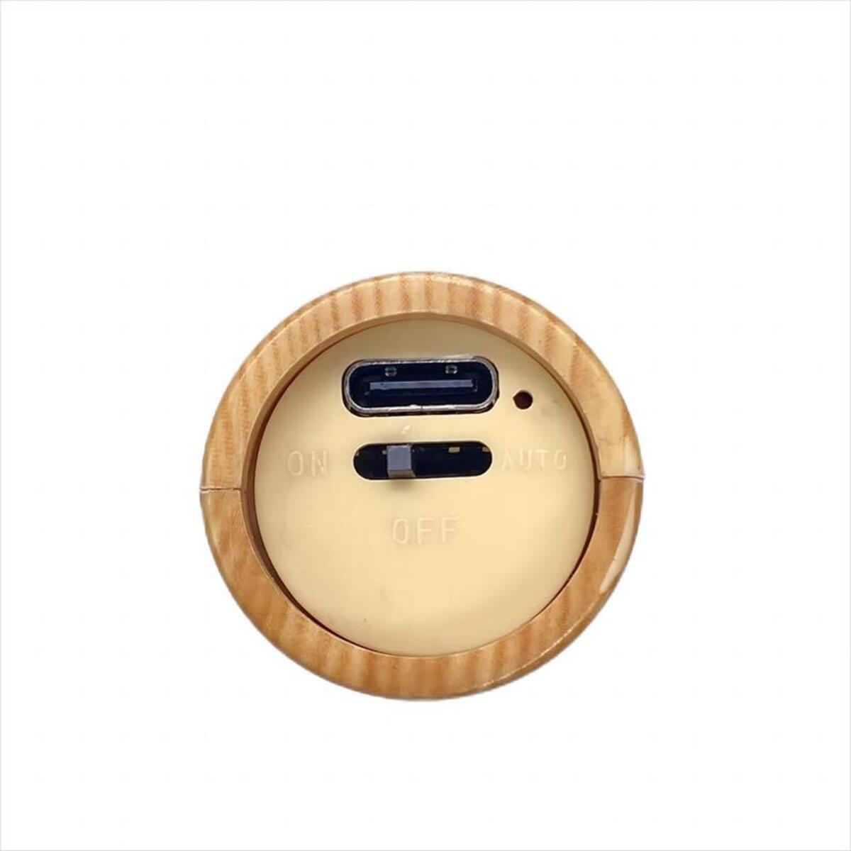WillowGlow™ Rechargeable Motion Sensor Sconce