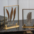 The Audubon™ Solid Brass Specimen Frame