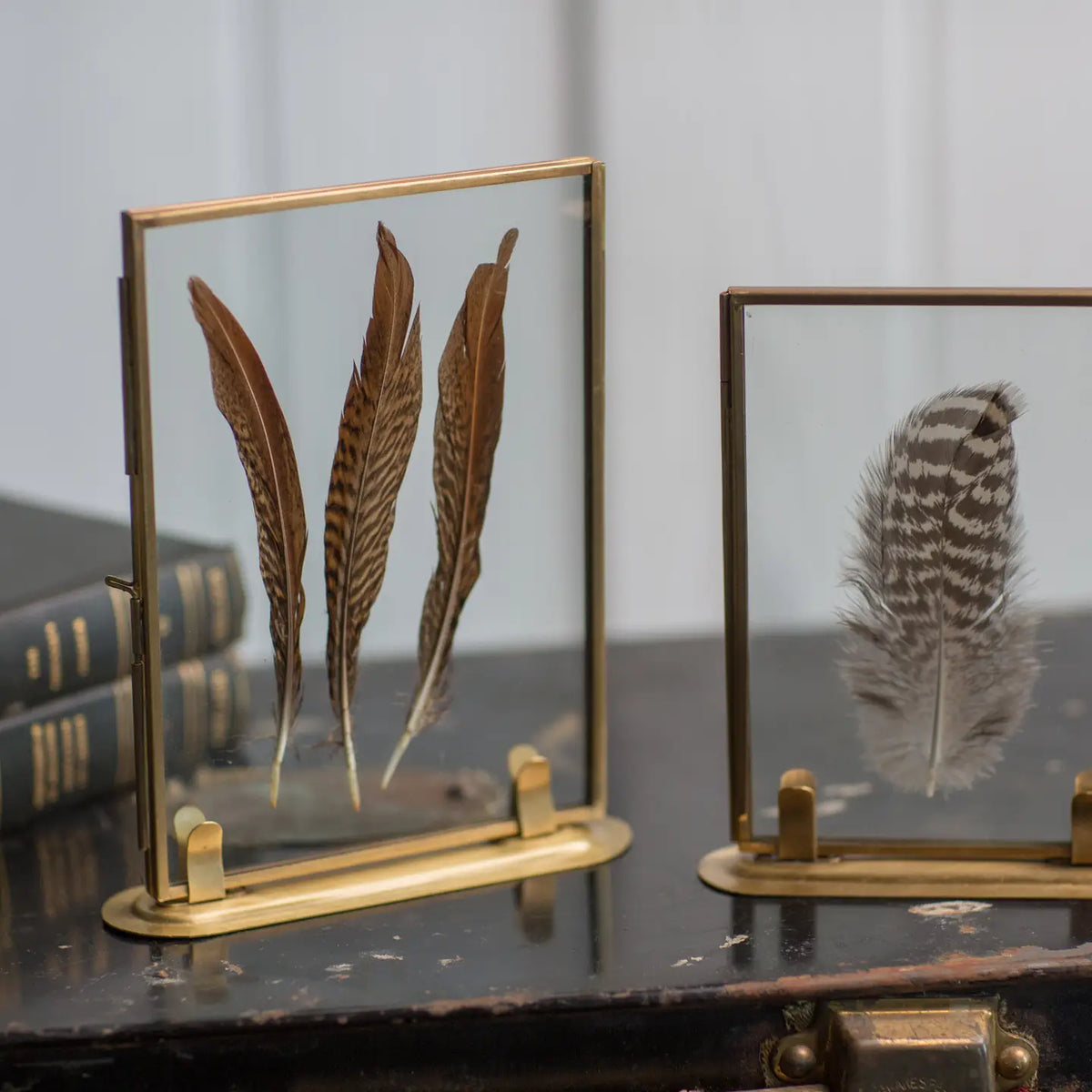 The Audubon™ Solid Brass Specimen Frame